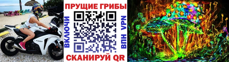 где можно купить наркотик  Звенигород  Псилоцибиновые грибы GOLDEN TEACHER 